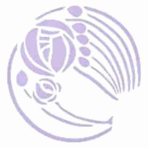 Torrington Dental Practice logo providing excellence in dental care