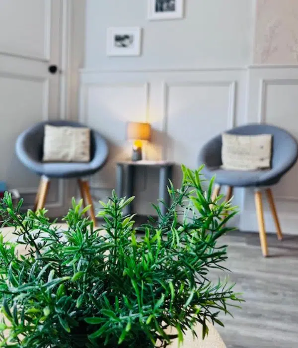 Reception area of TDP with plant in foreground and chairs in background
