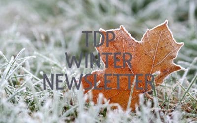 Happy New year & welcome to 2025